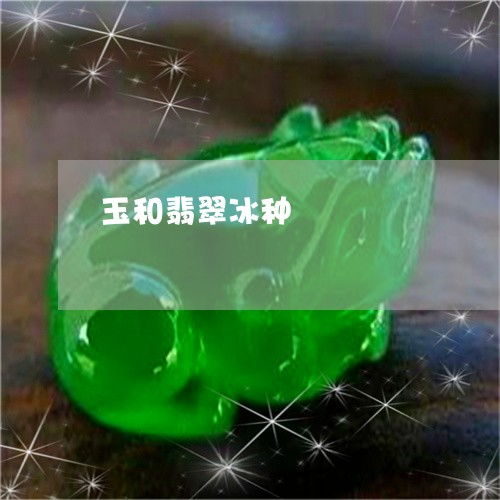 玉与翡翠冰种 2023年最新解析，别再傻了！